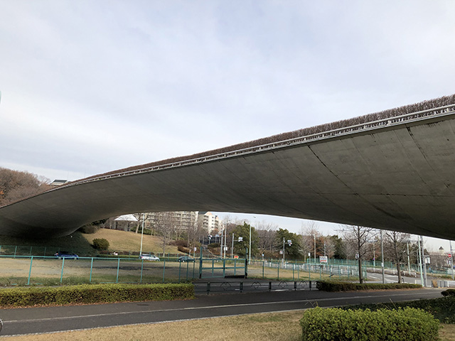 稲城中央公園（東京都/稲城市）