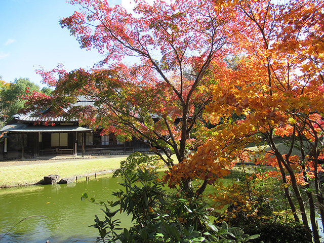 多摩中央公園の旧富澤家（東京都/多摩市）