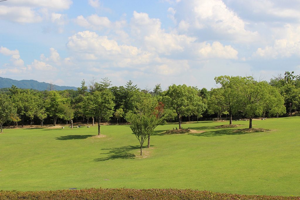 森の広場(芝生広場)/兵庫県立一庫公園(西市)