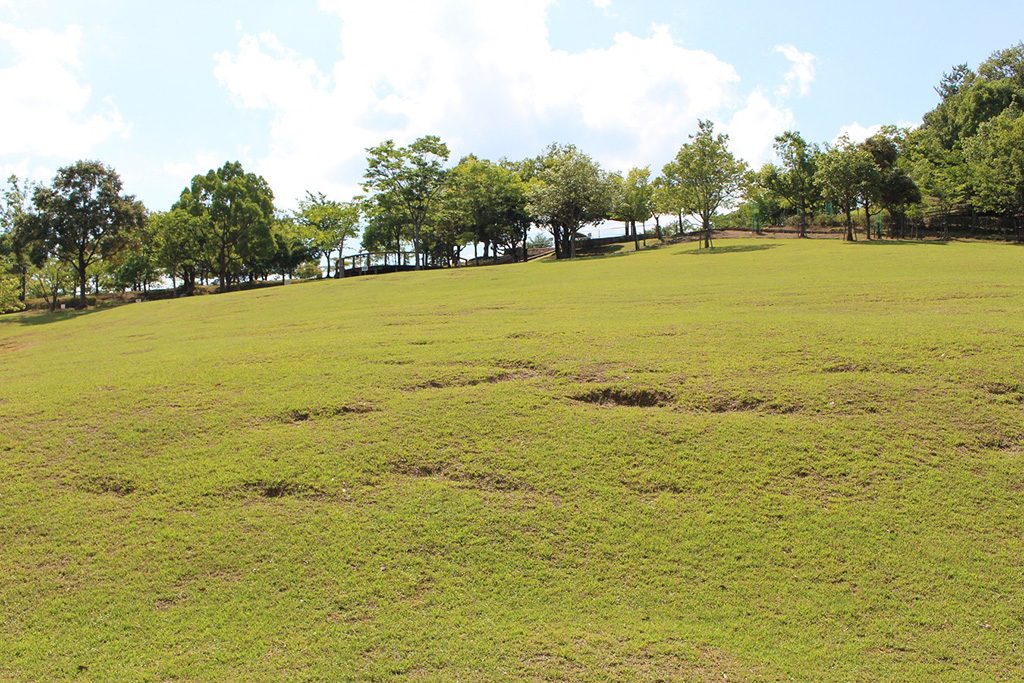 見晴らしの丘/兵庫県立一庫公園(西市)