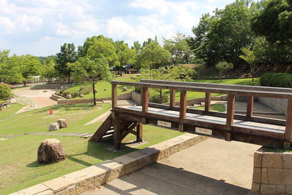 丘の流れ/兵庫県立一庫公園(西市)