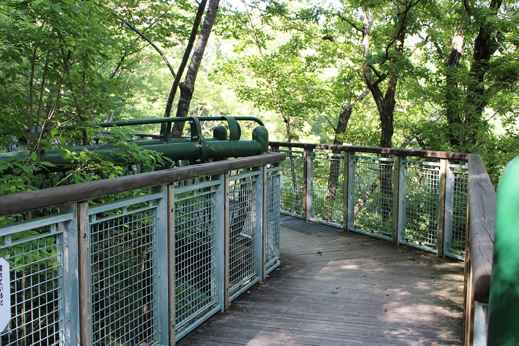 「キャノピー※ウォーク(自然観察路)」/兵庫県立一庫公園(西市)