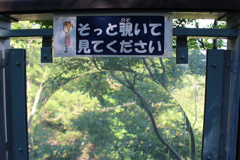 観察路に取り付けられた大きなルーペ/兵庫県立一庫公園(西市)