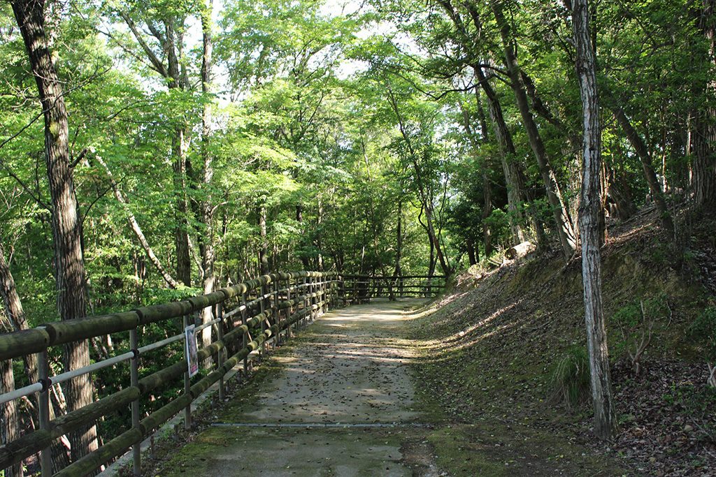 ウォーキングコース/兵庫県立一庫公園(西市)