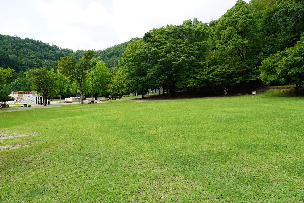 芝生広場/宝が池公園 子どもの楽園（京都府/京都市）