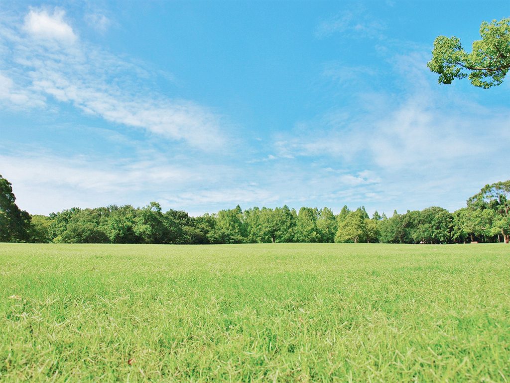 芝生広場/万博記念公園（大阪府/吹田市）
