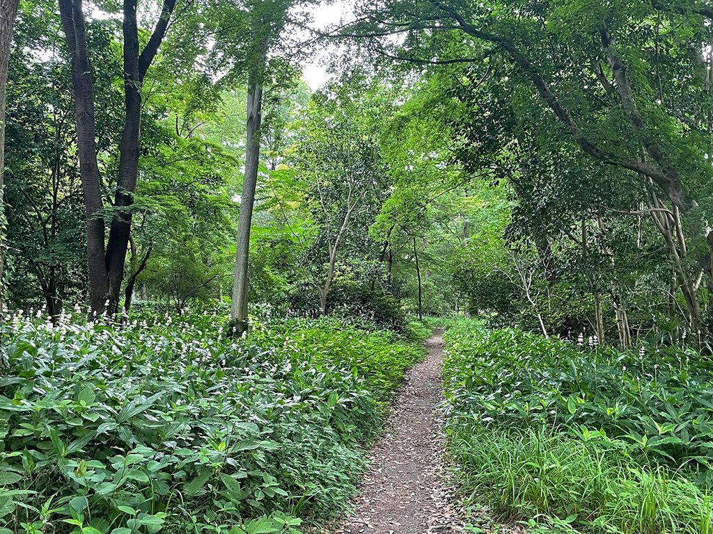 京都御苑（京都府/京都市）