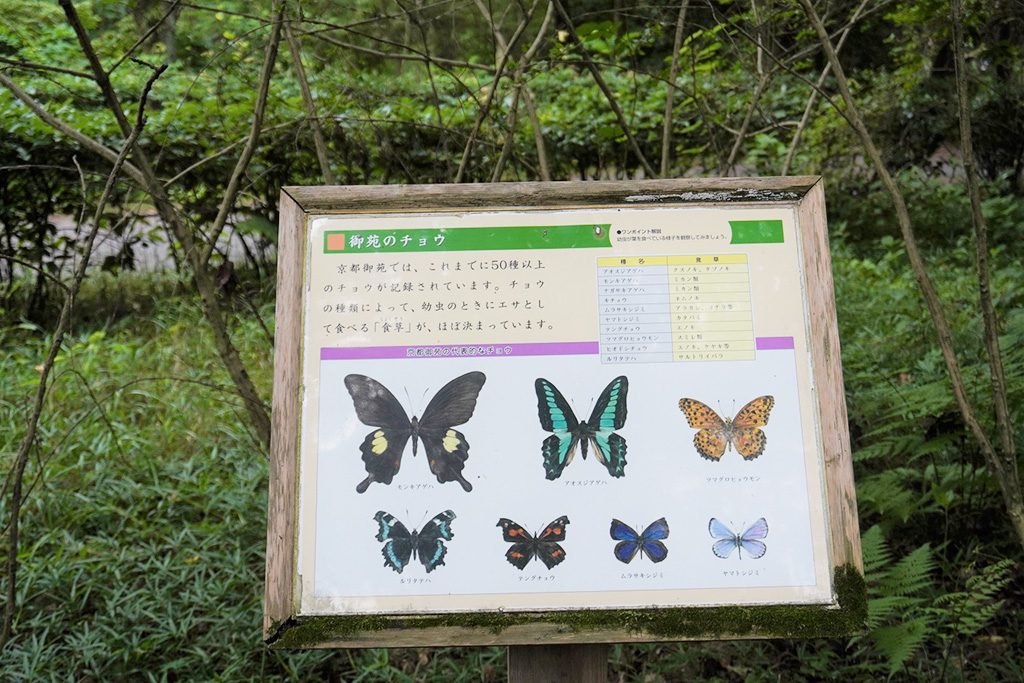 わかりやすい解説標識/京都御苑（京都府/京都市）