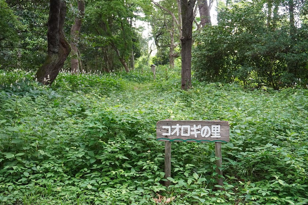 散策路/京都御苑（京都府/京都市）