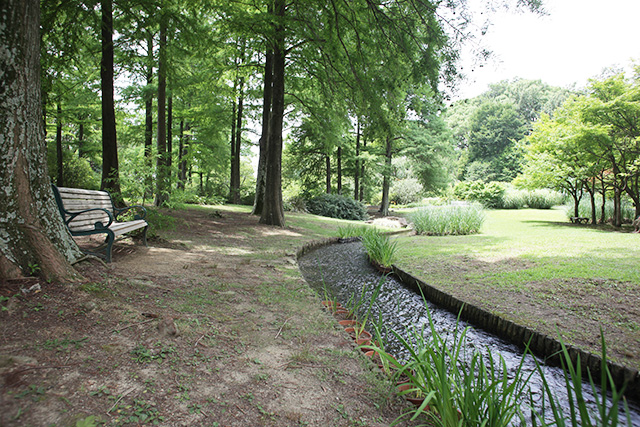 都市緑化植物園/服部緑地（大阪府/豊中市）