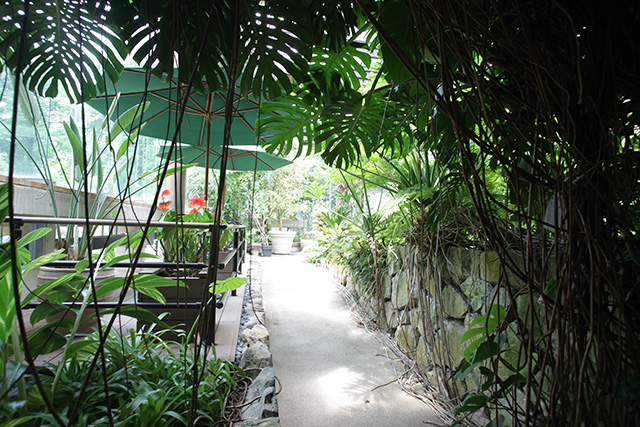 都市緑化植物園/服部緑地（大阪府/豊中市）