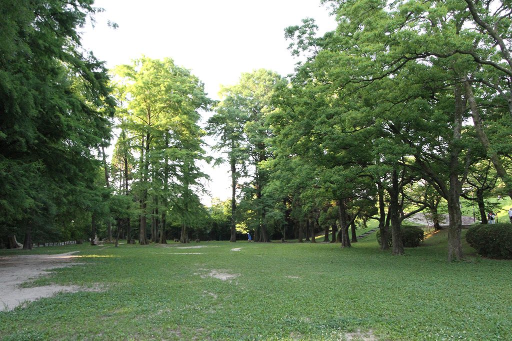 芝生広場/千里中央公園(大阪府/豊中市)