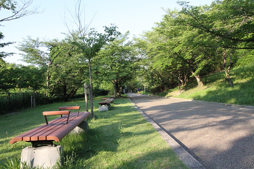 芝生が広がる自然豊かな園内/千里中央公園(大阪府/豊中市)