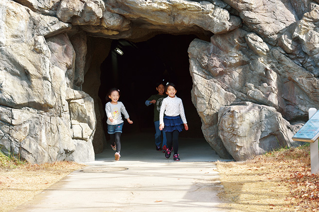 杜の洞窟！ 探検ゾーン/スマイルキッズパーク（福島県/本宮市）