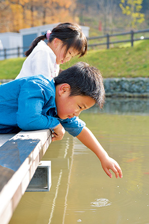 ザリガニ池/ひがしね あそびあランド（山形県/東根市）