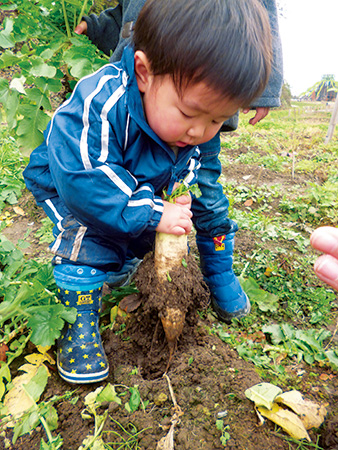 農業体験ゾーン/ひがしね あそびあランド（山形県/東根市）