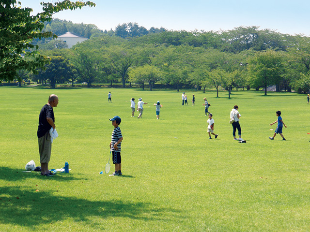 芝生広場ゾーン/八戸公園（青森県／八戸市）