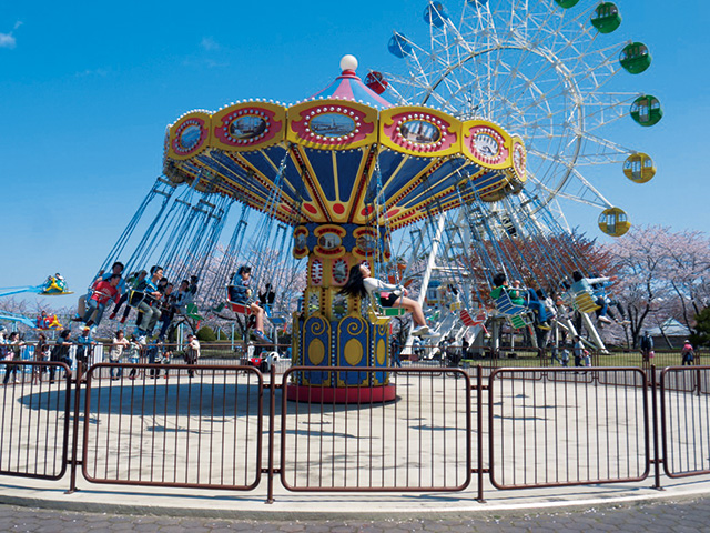 ファミリースインガー/八戸公園（青森県／八戸市）