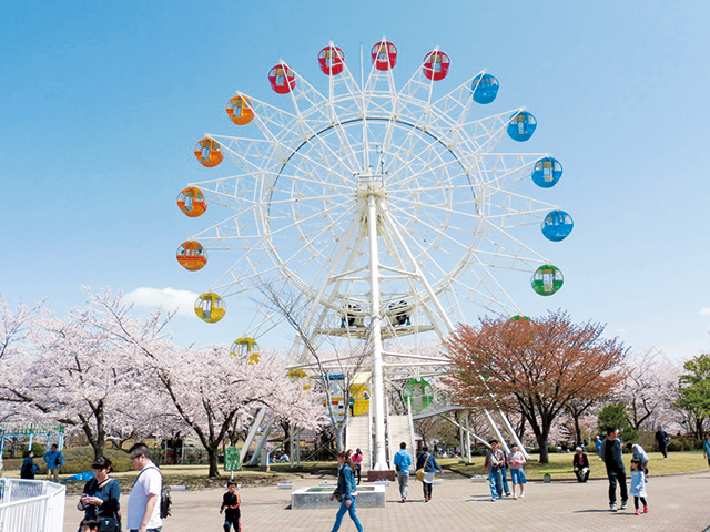 観覧車/八戸公園（青森県／八戸市）