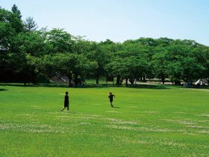 いろんな楽しみが満載！37万㎡の広々パーク八戸公園（青森県）で遊ぼう！