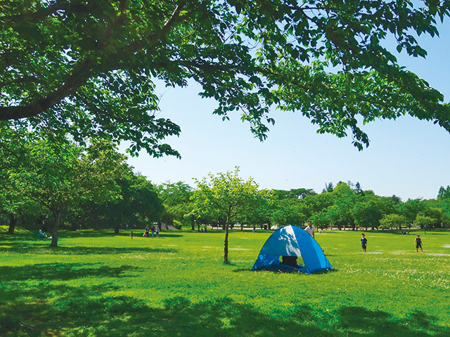 芝生広場ゾーン/八戸公園（青森県／八戸市）