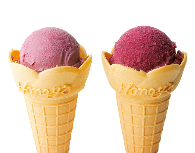 山ぶどうシャーベット/ 山ぶどうアイス/道の駅「月山」月山 あさひ博物村(山形県/鶴岡市)