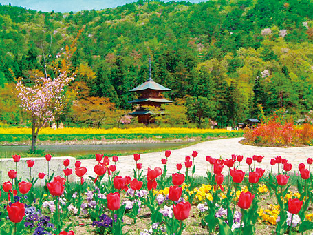 美しい花が咲く散策路/道の駅 たかはた(山形県/高畠町)