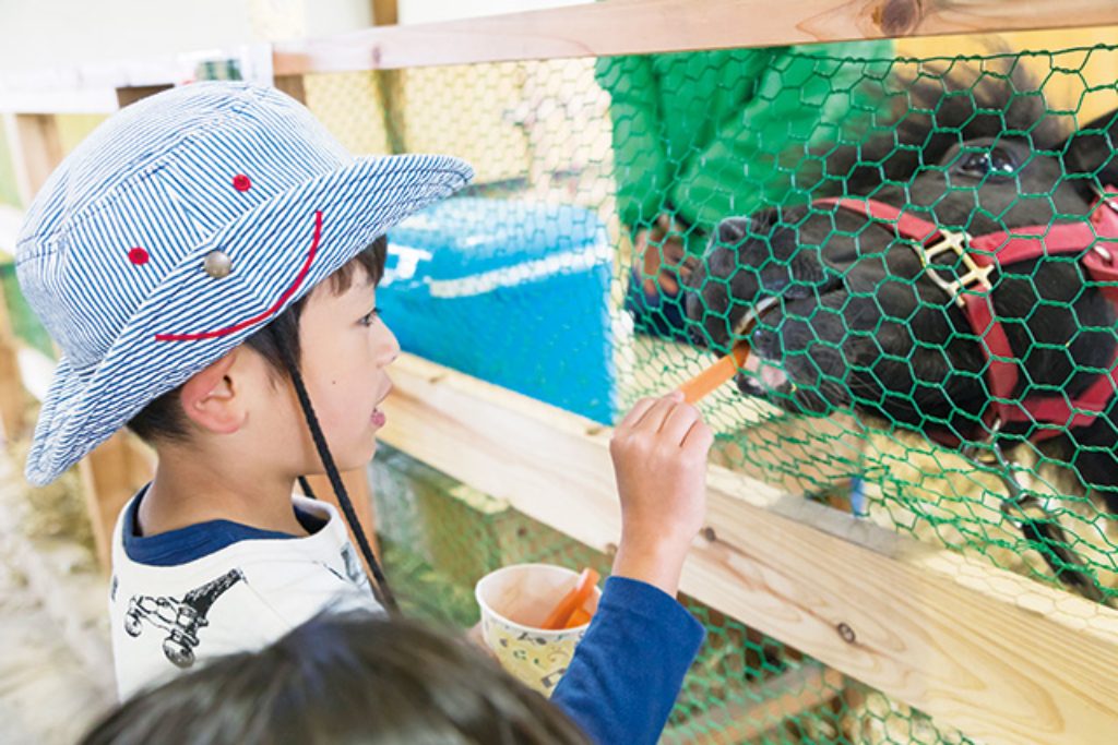 小岩井農場まきば園（岩手県）の広々とした緑のまきばで動物と遊ぼう！