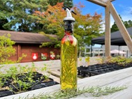 ハーブオイルづくり/Sport & Do Resort リソルの森(千葉県/長柄町)