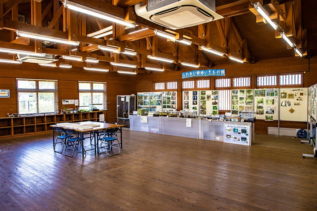 ビジターセンター/ふれあい緑地(大阪府/豊中市)