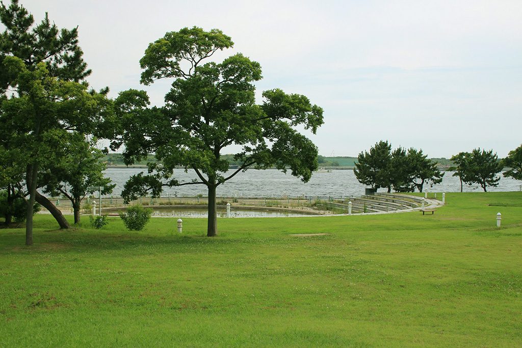 芝生広場/舞洲緑地（大阪市/此花区）