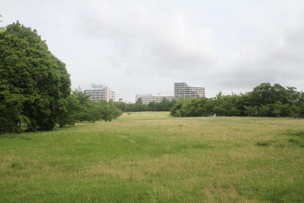 芝生広場「のびのび広場」/西神中央公園(兵庫県/神戸市)