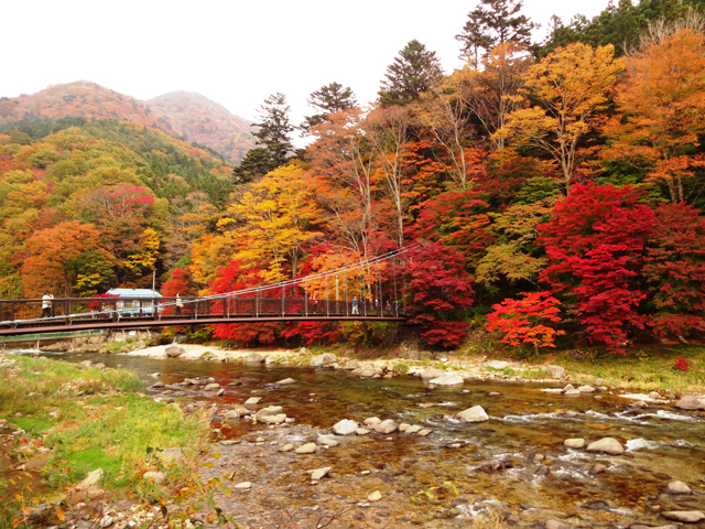 塩原温泉郷（栃木県）の紅葉