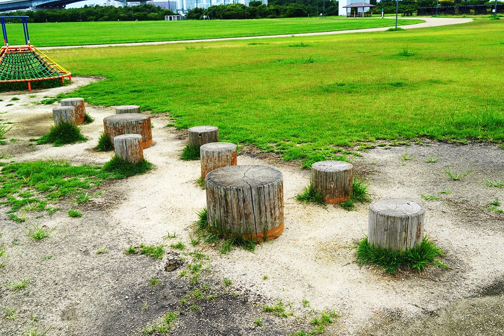 飛び石/兵庫県立尼崎の森中央緑地(尼崎市)