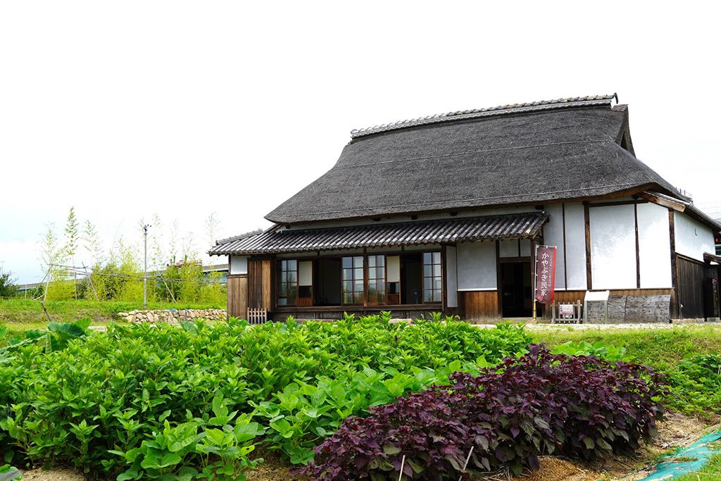 茅葺きの古民家/兵庫県立尼崎の森中央緑地(尼崎市)