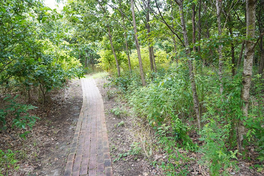 森づくりエリア/兵庫県立尼崎の森中央緑地(尼崎市)