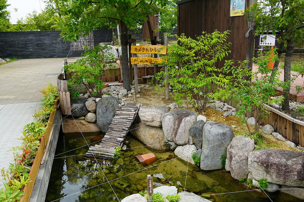 パークセンター前の池/兵庫県立尼崎の森中央緑地(尼崎市)