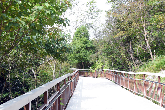 歩きやすい遊歩道/ジブリパーク（愛知県／長久手市）
