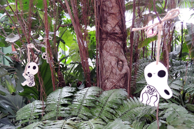 『もののけ姫』に登場する“こだま”を発見/ジブリパーク（愛知県／長久手市）