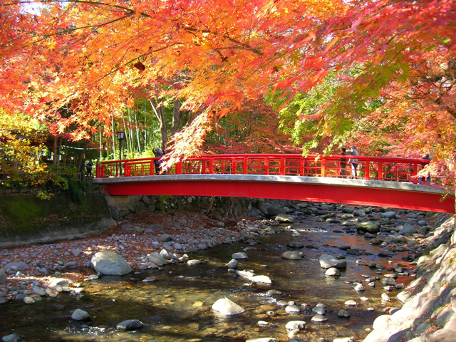 修善寺温泉（静岡県）の紅葉
