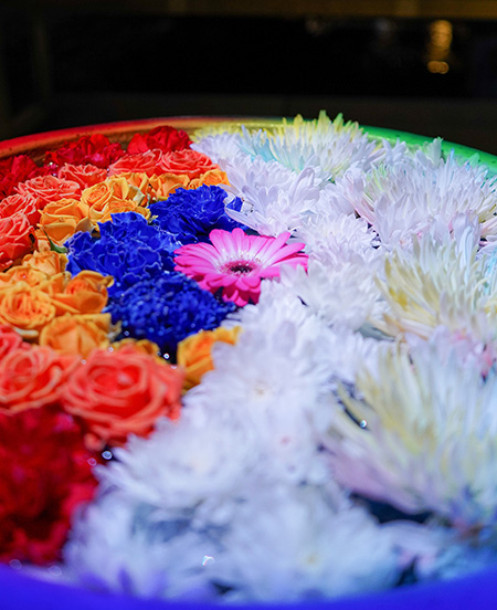 光の花手水/あしかがフラワーパーク（栃木県/足利市）