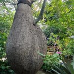 山口県の無料スポット・遊び場4選！秋吉台・秋芳洞がよくわかる博物館など