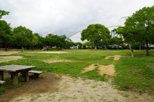 芝生広場/元浜緑地(兵庫県/尼崎市)