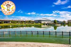 原池公園(堺市中区)は、本格的なスポーツ施設が充実した運動公園