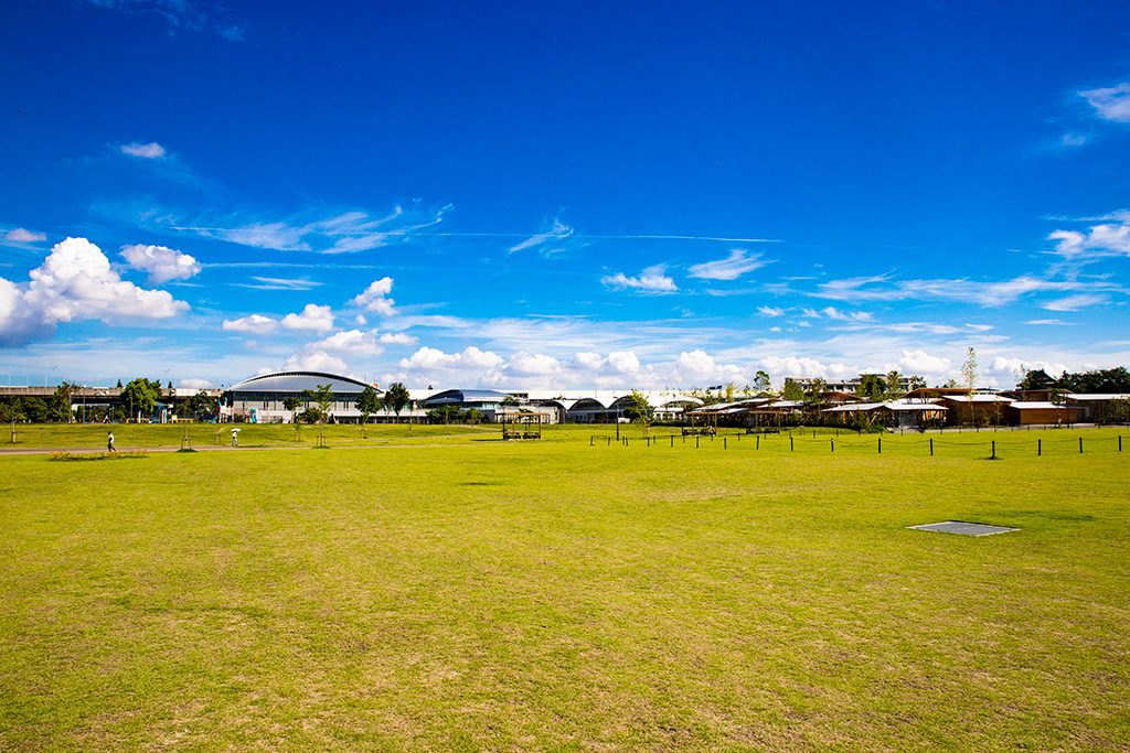 芝生広場/原池公園（大阪府/堺市）