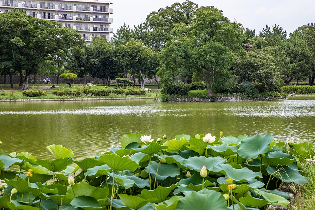 大池/住之江公園（大阪府/大阪市）