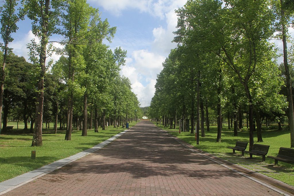 遊歩道/しあわせの村(兵庫県/神戸市)