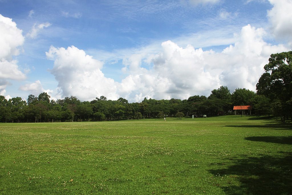 芝生広場/しあわせの村(兵庫県/神戸市)