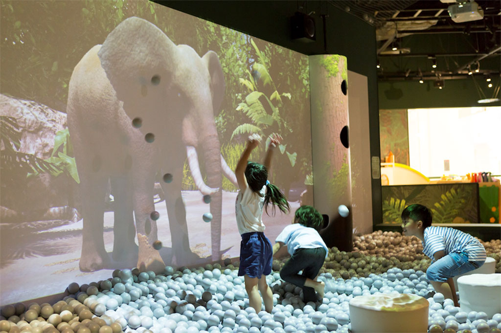 屋内・冒険の島ドコドコ