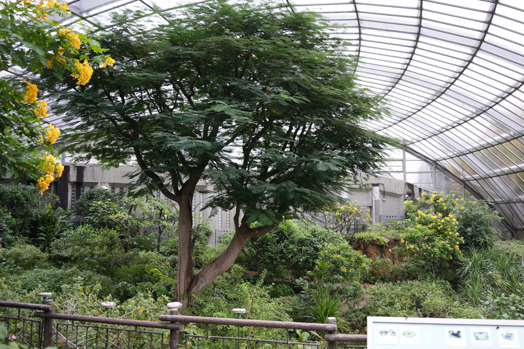 多摩動物公園昆虫園